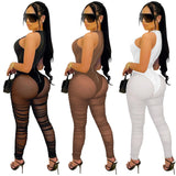 Sleeveless Mesh Hollow Jumpsuit - See-Through Party Wear